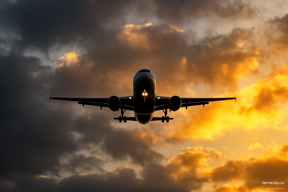 Аэропорт Оренбурга внезапно закрыли для рейсов: Росавиация объяснила причину мерами безопасности