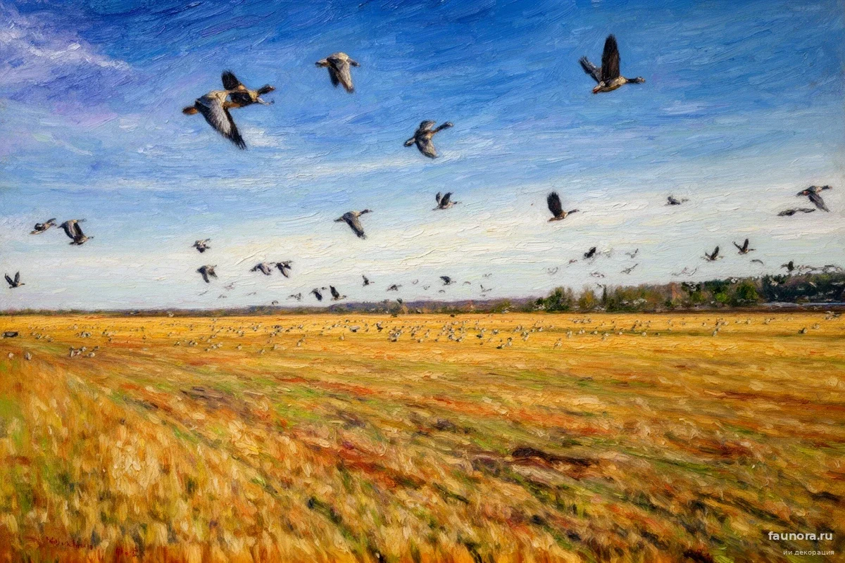 Миллион гостей в Карелии: почему Олонец внезапно стал эпицентром борьбы за федеральный статус